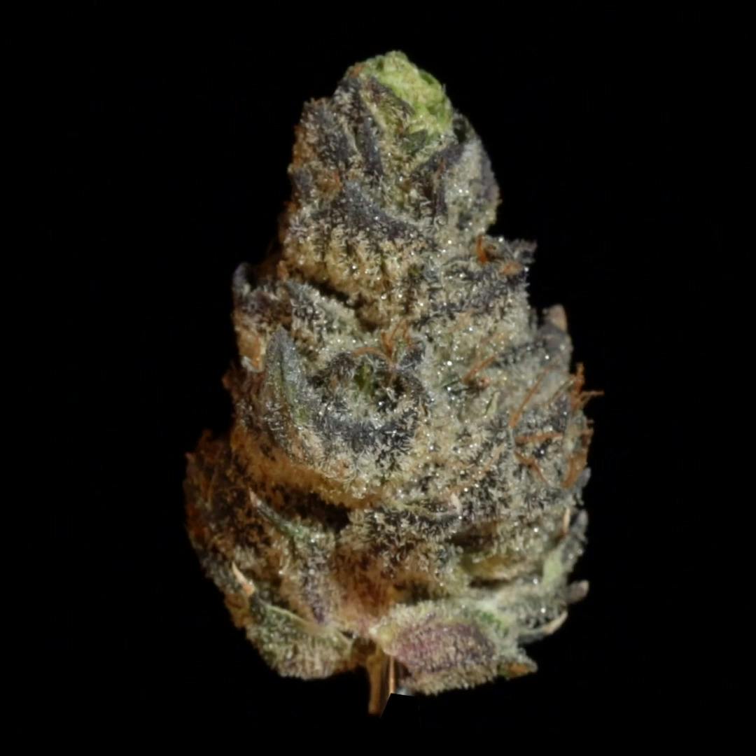 Dracula - 1oz Shake