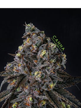 Ice cream cake (Smalls)