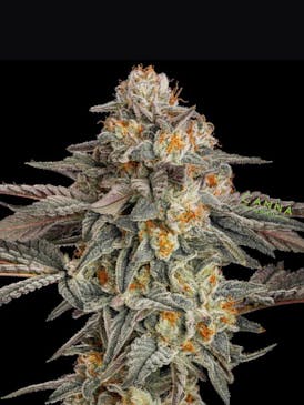 Mandarin Zkittles