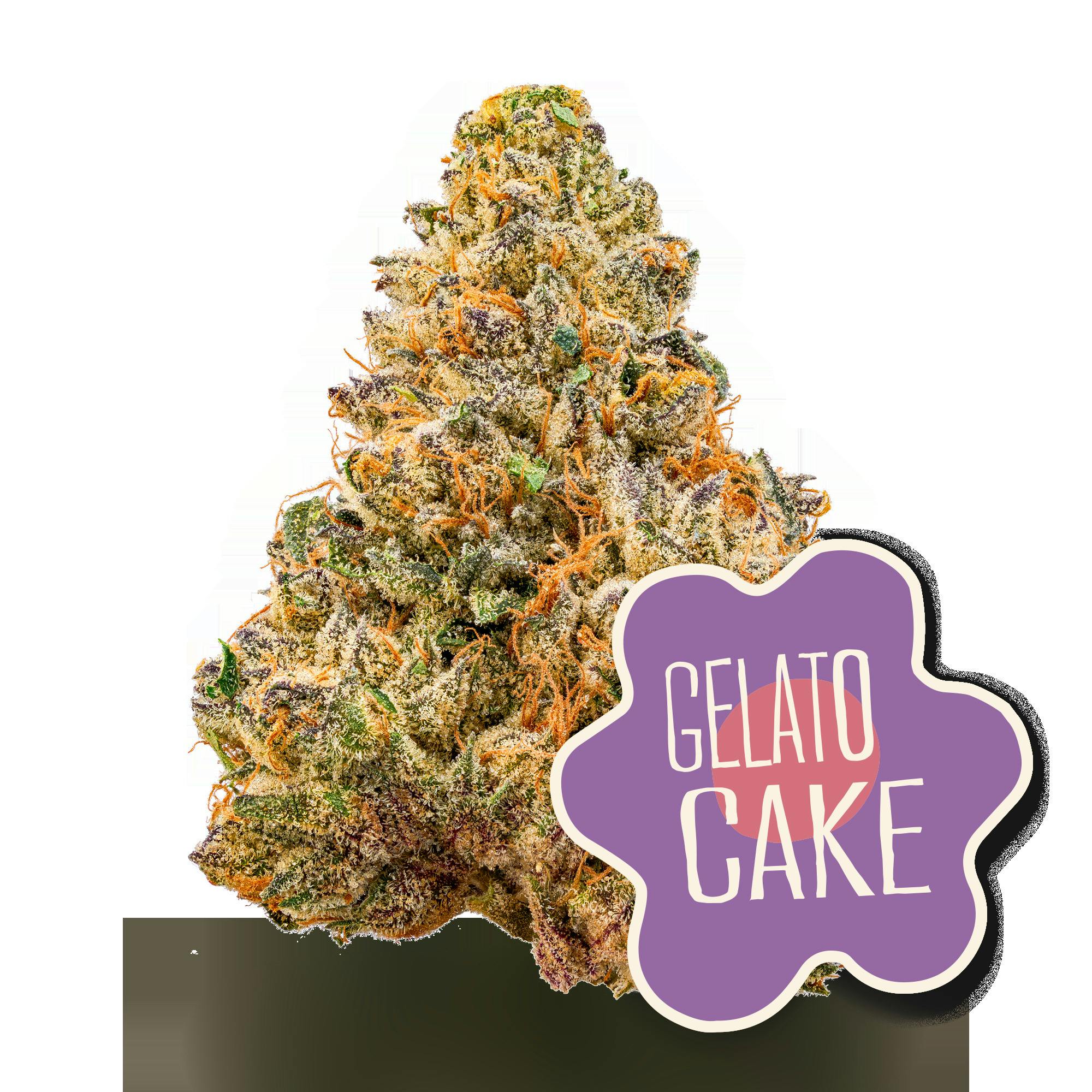 Gelato Cake