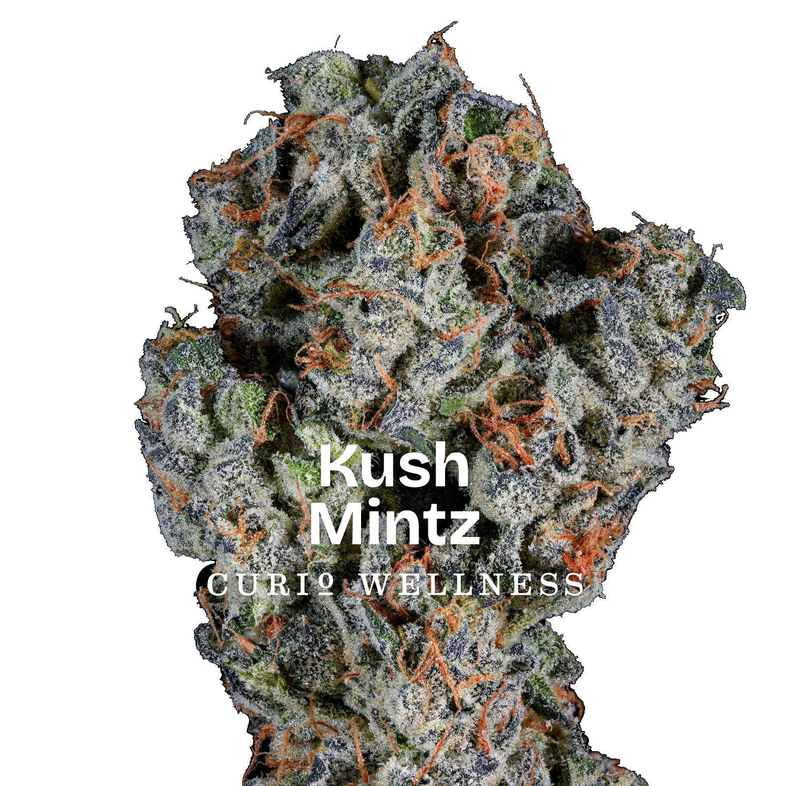 Curio Kush Mints