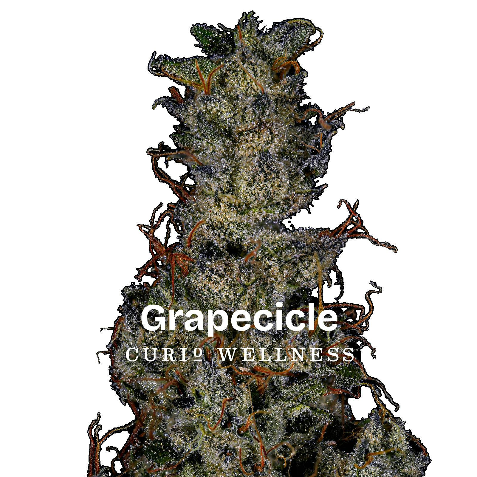 Grapecicle