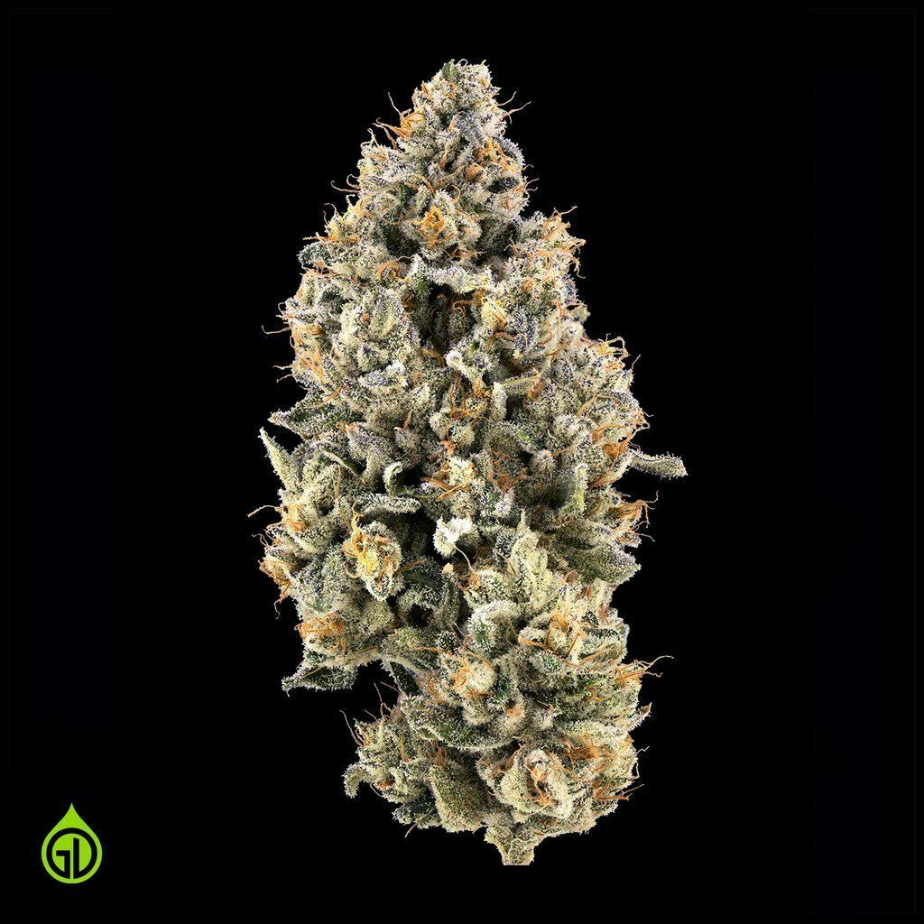 Green Dot Labs Safety Meeting 7g Flower