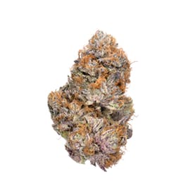 Highbrow | Phone Home | Flower
