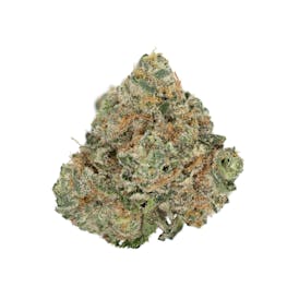 Hazy Hill | Frozen Assets | Flower