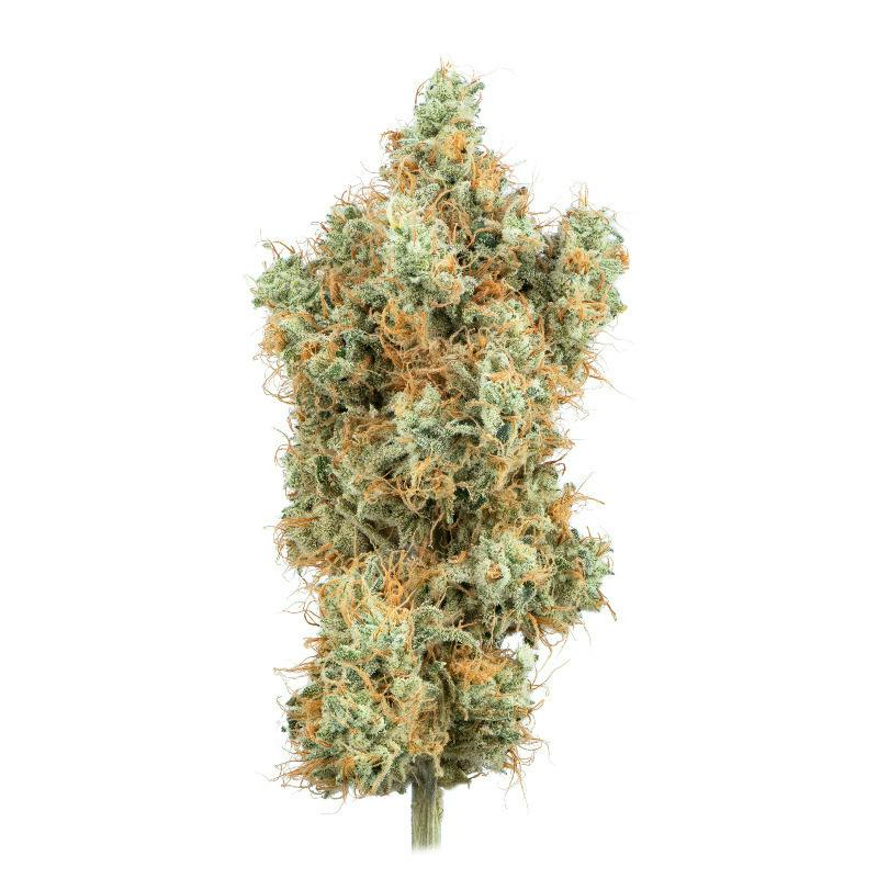 Blossom | Flower | Lemon Cookies | Packaged