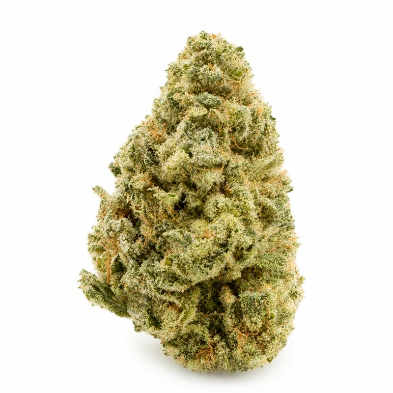 Blossom | Flower | Blue Limeade | Packaged