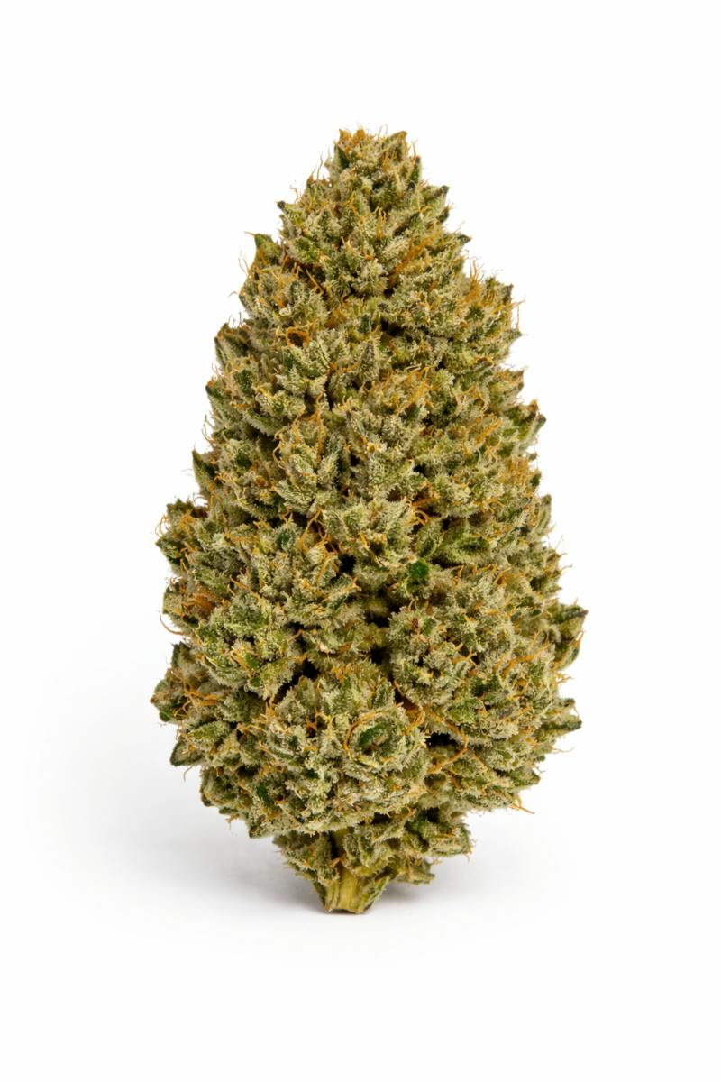 Walkabout | Big Buds | 3.5g