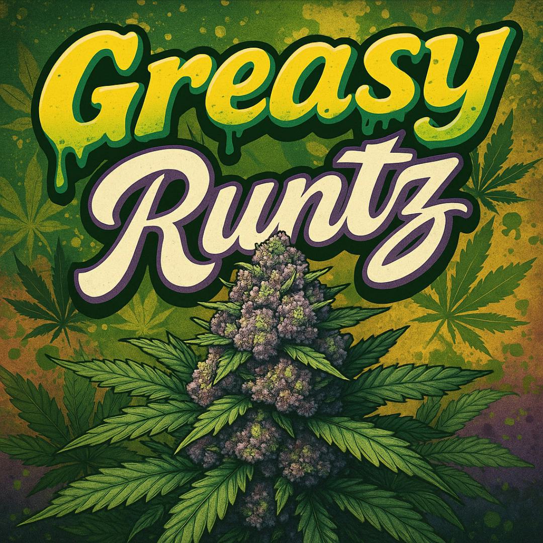 High Society - Pre-Pack OZ - Greasy Runtz
