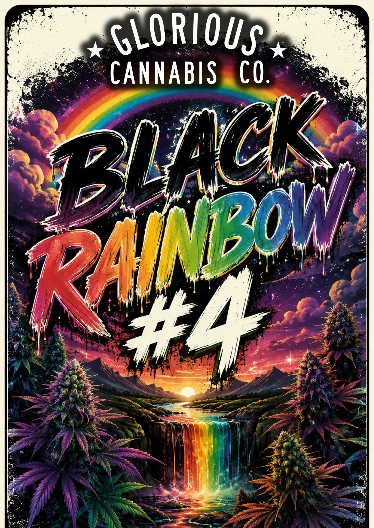 Glorious - Deli - Black Rainbow #4