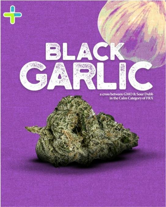 FRX Certified Organic | Black Garlic | 2.83g Premium Flower