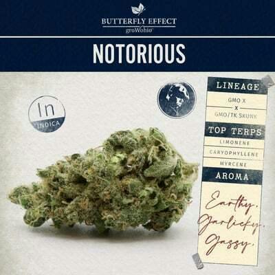 Butterfly Effect | Notorious | .85g CO2 Luster Pod