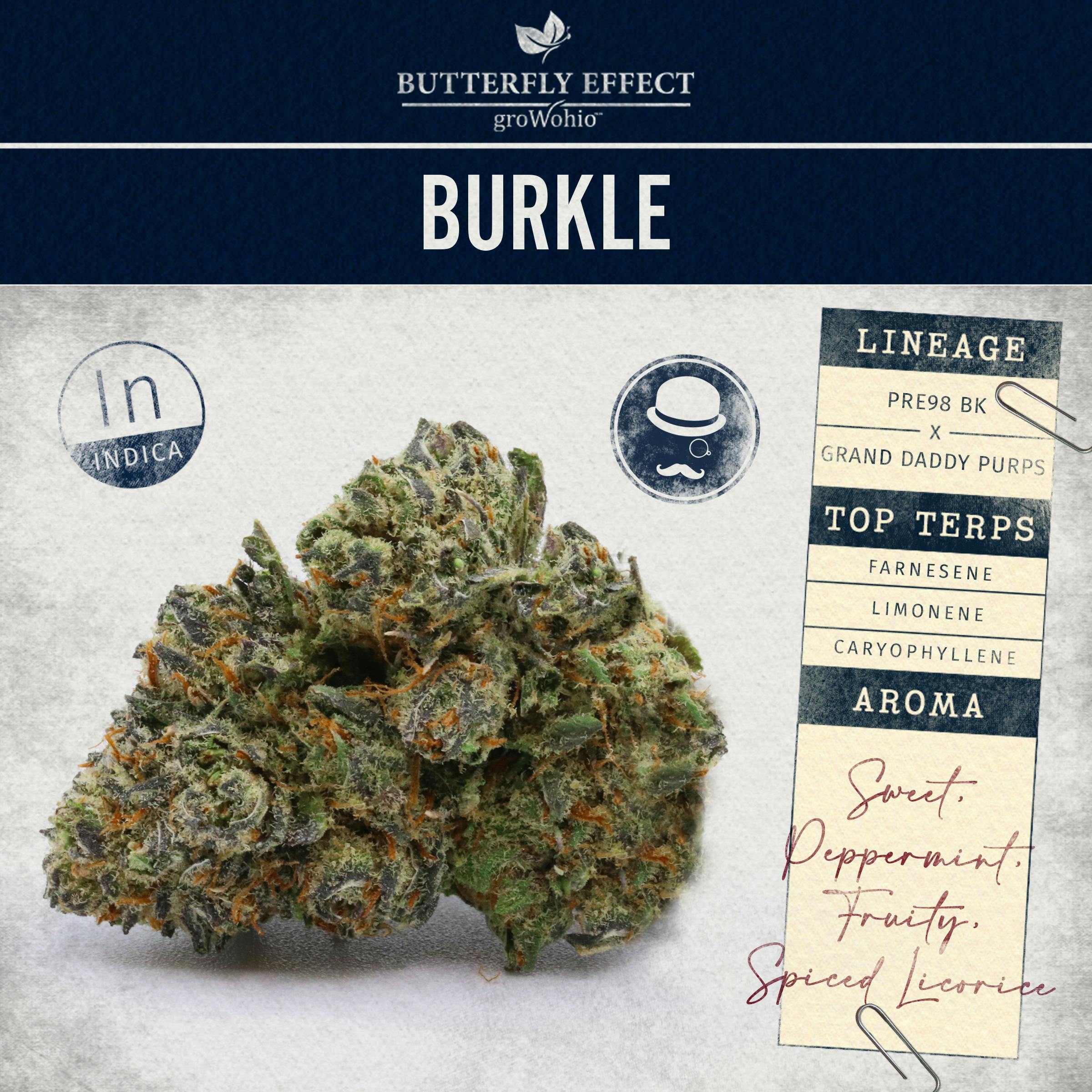 Butterfly Effect | Burkle (Living Soil)