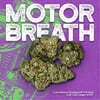 FRX Certified Organic | Motorbreath #15 | 5.66g Mini Flower
