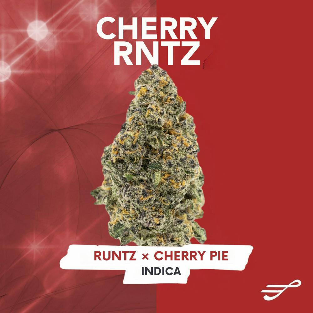 Seeker | Cherry Rntz