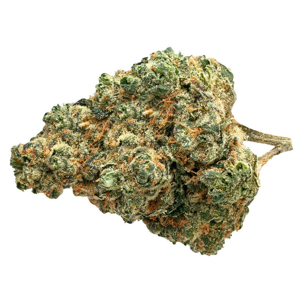Pure Sunfarms - Day Tripper - Hybrid - 28g