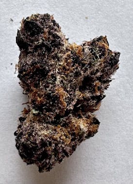 SCF - Trop Cherry (1g) - Sativa
