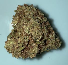 CW - Sweet N Nasty (1/8) - Sativa