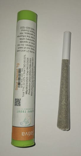 HT - Sour Diesel Pre-Roll (1g) - Sativa