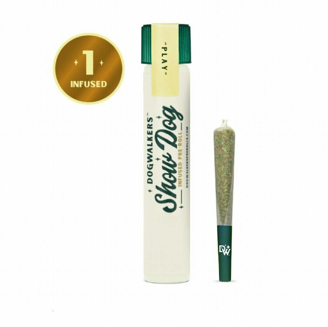 Dog Walkers Show Dog White Durban "Play" Infused Preroll 1g