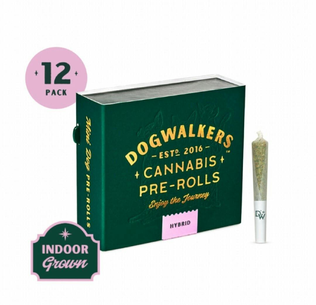 Dog Walkers Runtz "Stay" Prerolls .35g 12pk