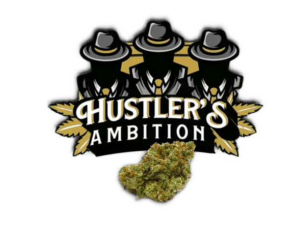 Hustlers Ambition Double Dream 1/8oz