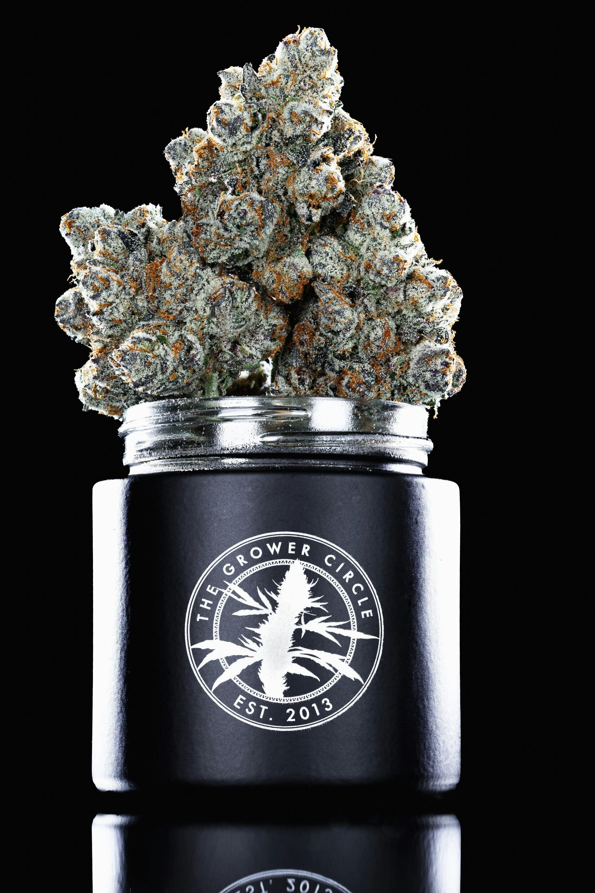 The Growers Circle Push Pop 1/8oz