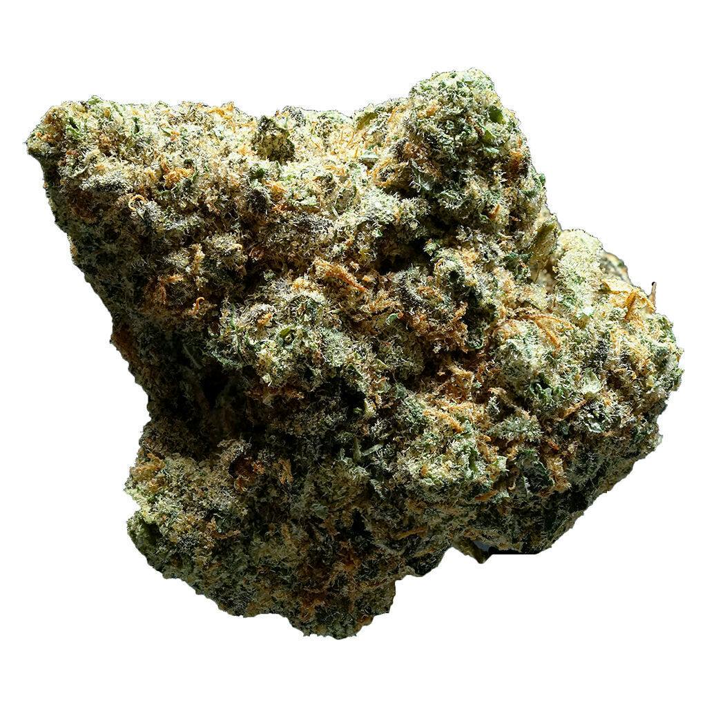 @OUEST - Gelatti Kush - 7g