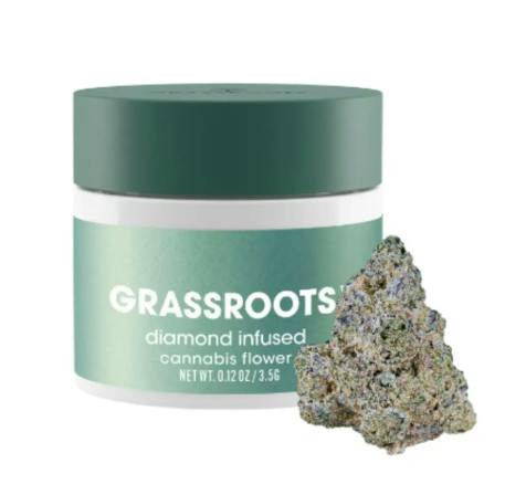 Grassroots | Infused flower | Zesty Garlic Cookies | 3.5 |