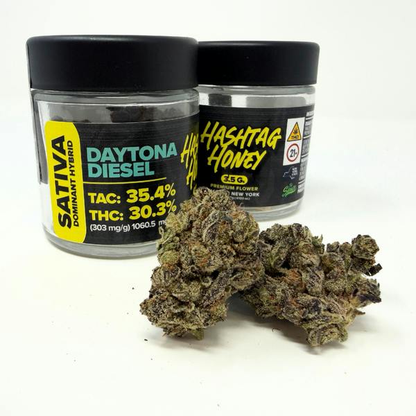 Hashtag Honey | Jar Flower | Daytona Diesel | 3.5g