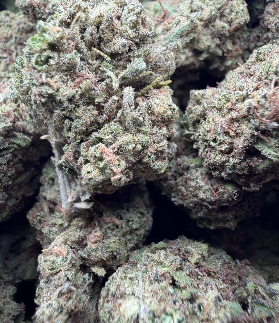 Modified biscotti Living soil Sungrown $39/$59 Oz