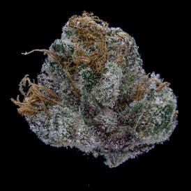 JAR - Lemon Cherry Gelato