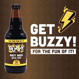 BZZY - Root Beer