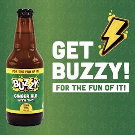 BZZY - Ginger Ale