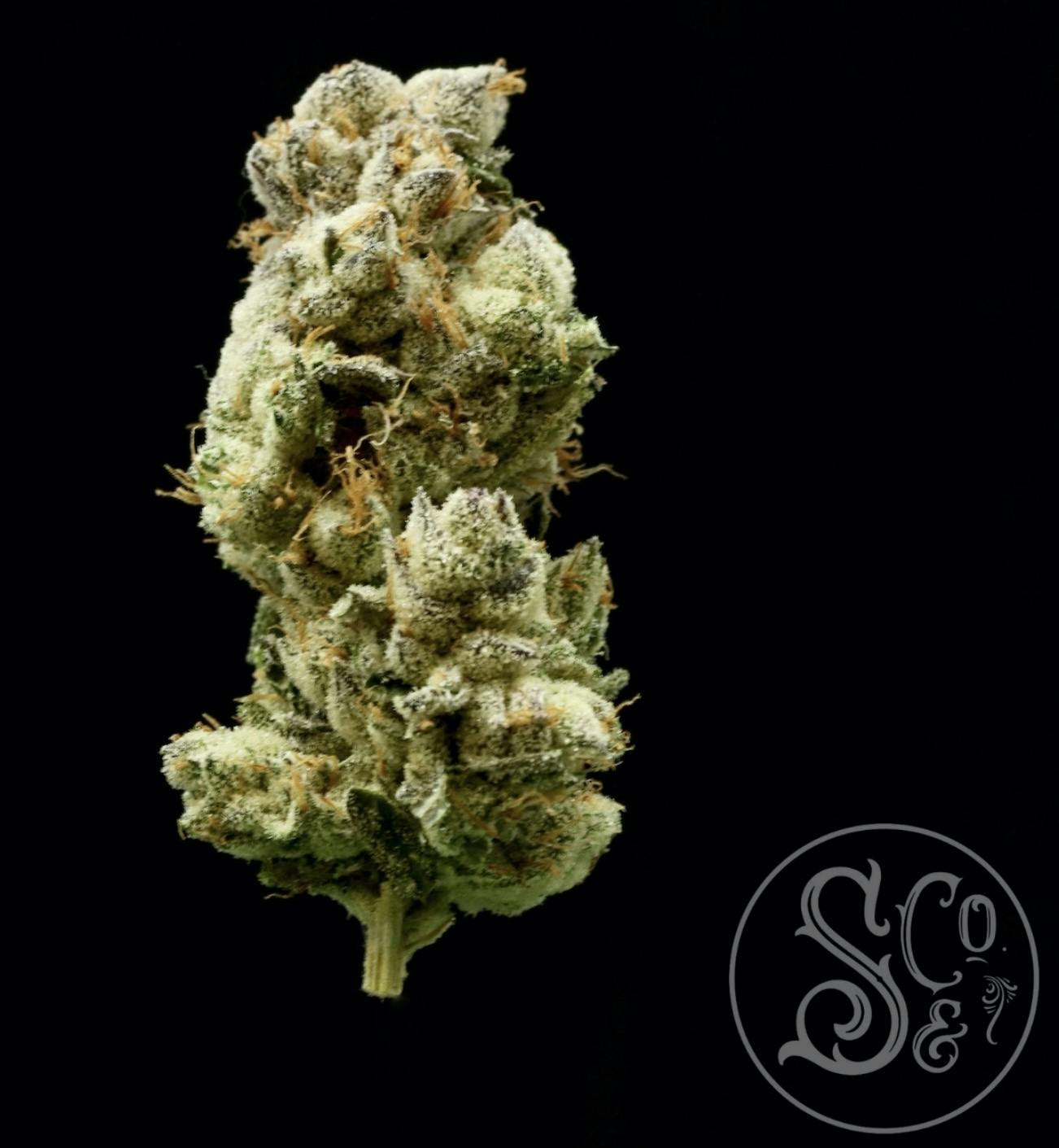 S&CO - Franken Cakes