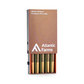 AF - Chemon Tree - Pre-Rolls - 5 pck