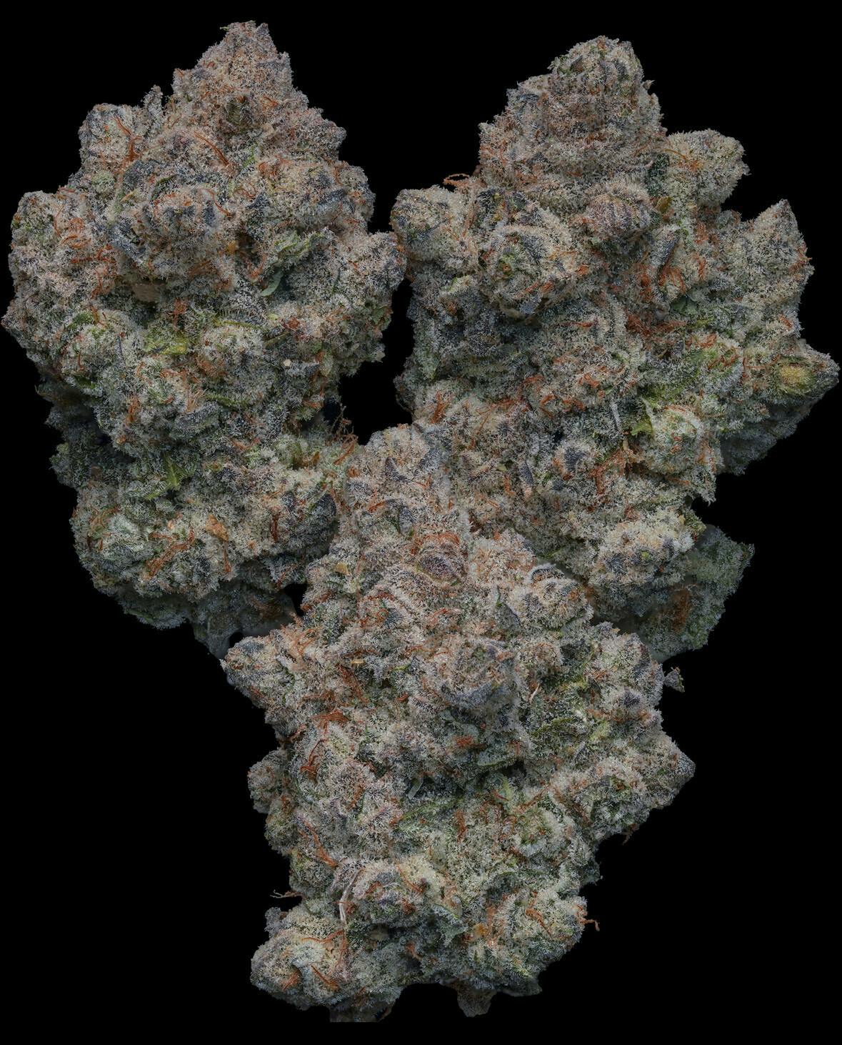 3.5g Grape Mintz Prepackaged Flower Levotic