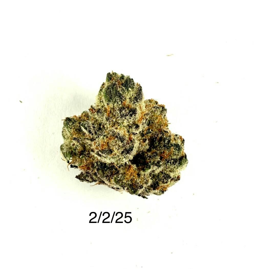 P37 - Dulce de Limon - 1G