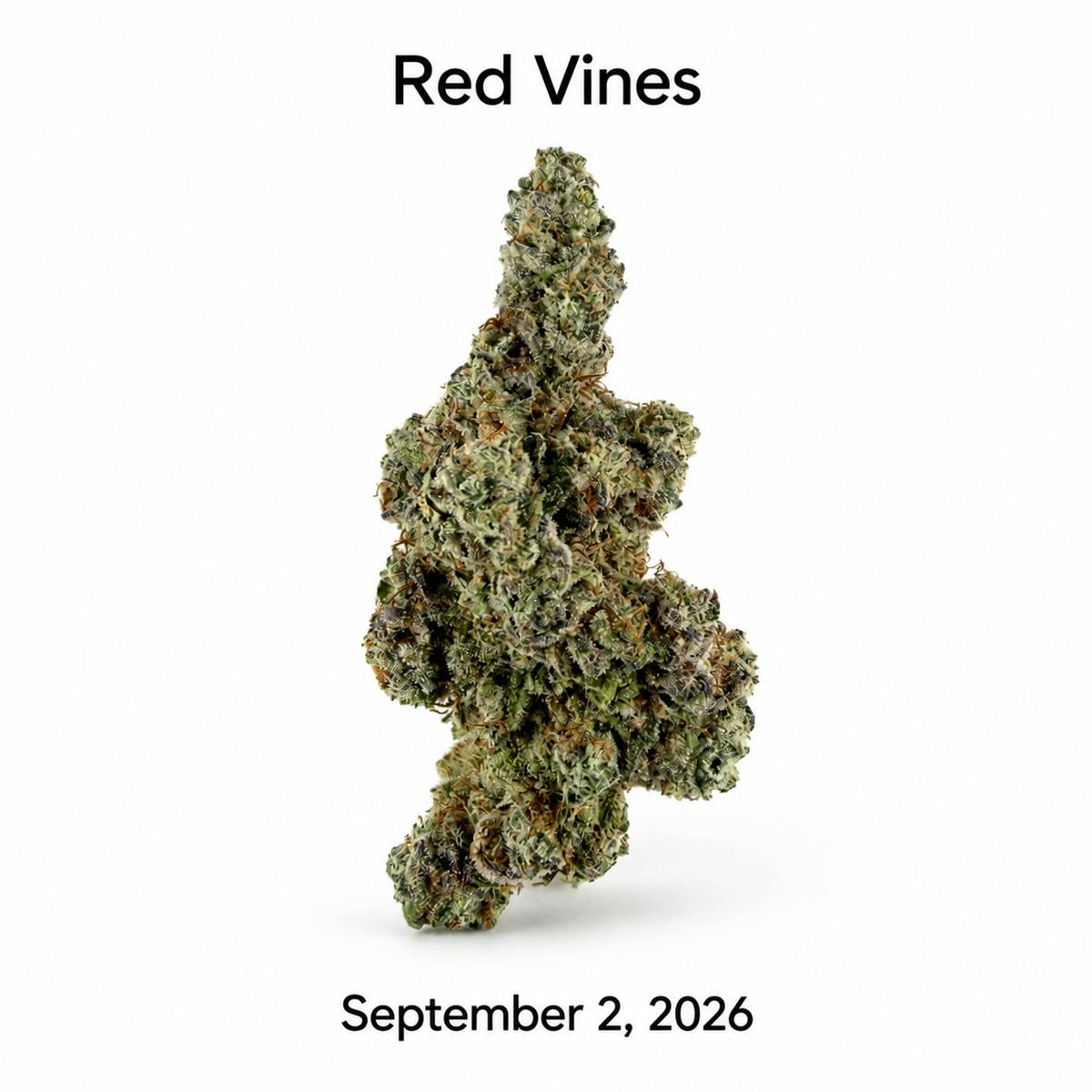 Gw Red Vines