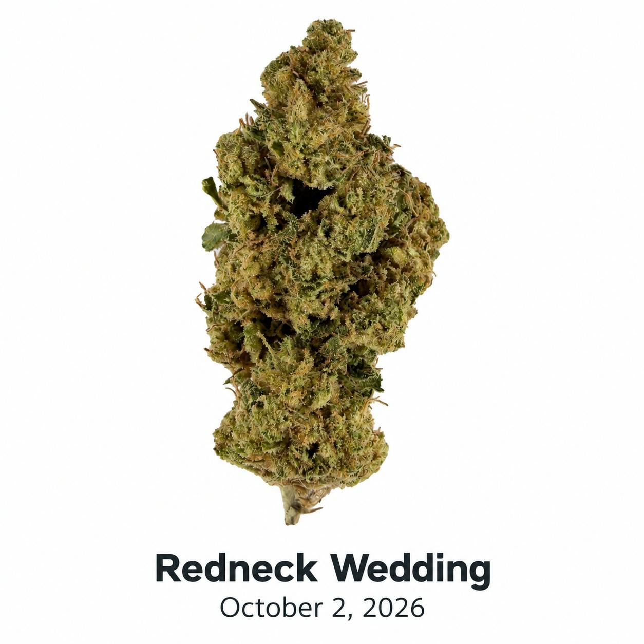 HDH - Redneck Wedding - 1G