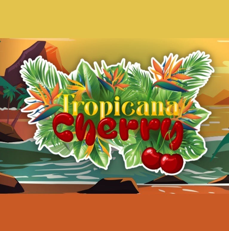 Mota Flwr: Tin Tropicana Cherry