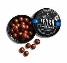 Milk Chocolate: Blueberry Bites