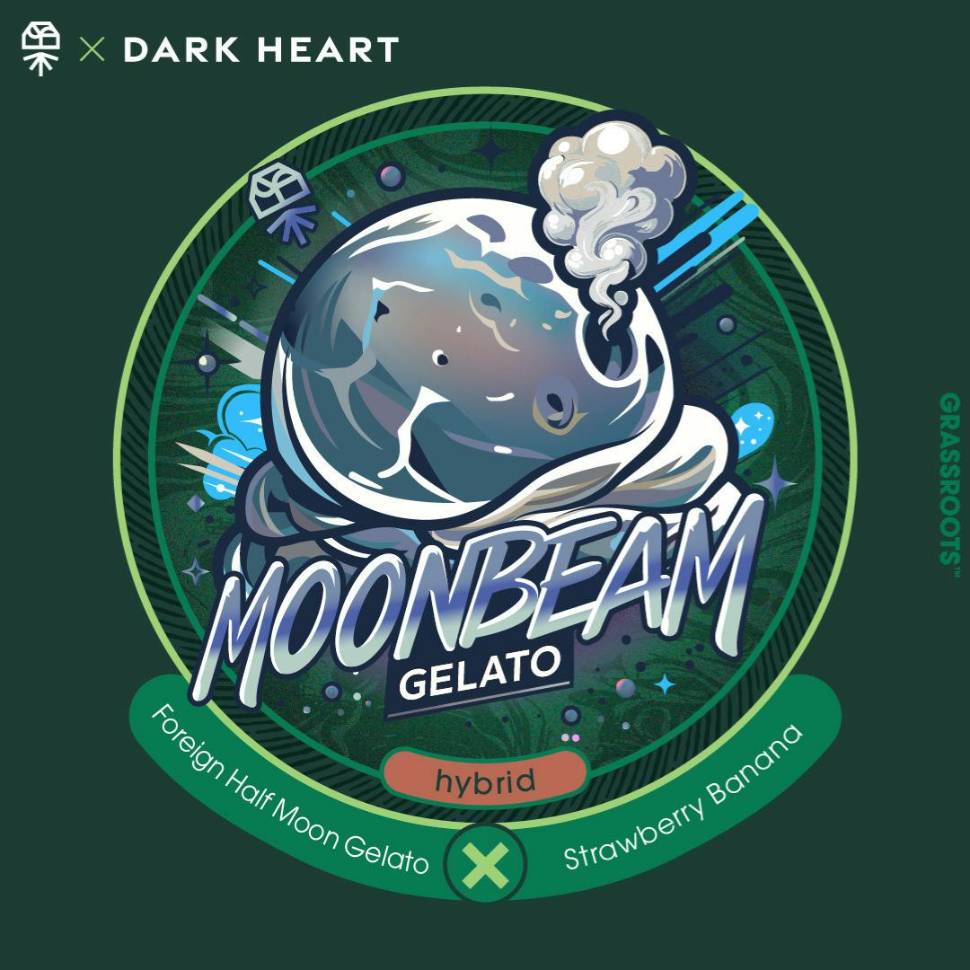 Moonbeam Gelato Whole