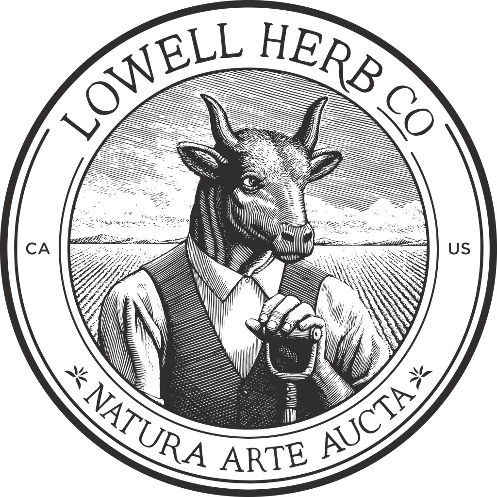 Lowell Herb Co The Dreamers The Midway Pre-Roll Pack 0.4g ea | 10-Pack
