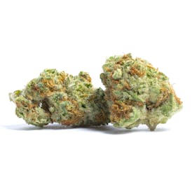 Divinity Cultivation | Bulk Flower - Mimosa
