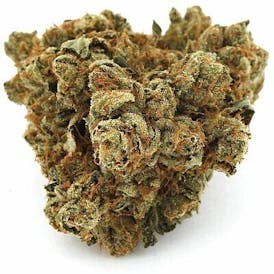 Biscuits | Bulk Flower - Tulsa King OG
