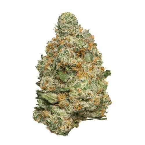 Apple Fritter - Flower