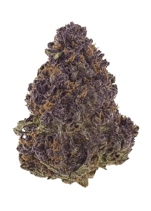 Huckleberry Bar - Flower