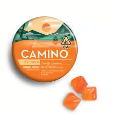 Camino | Freshly Squeezed | CBG 1:2