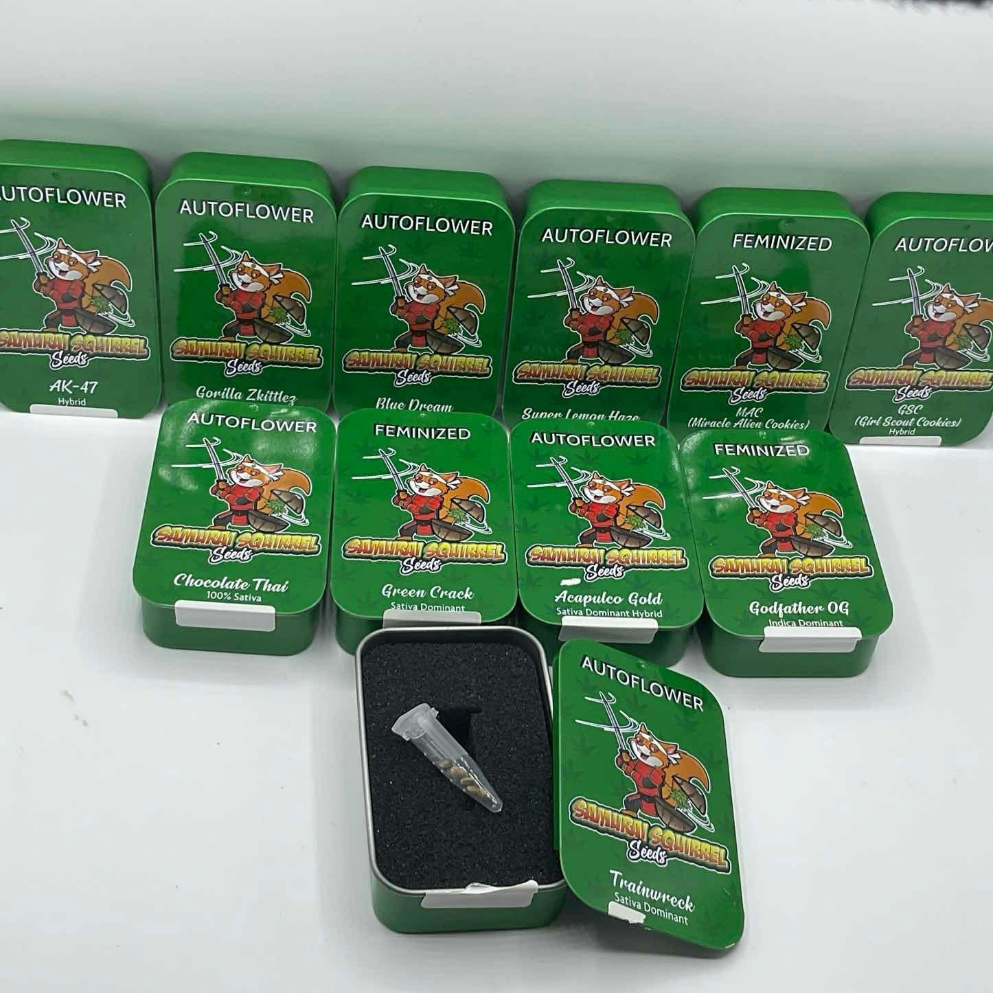 Samurai Squirrel Seeds